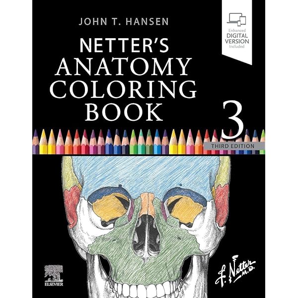 Amazon | Netter Atlas of Human Anatomy: Classic Regional Approach